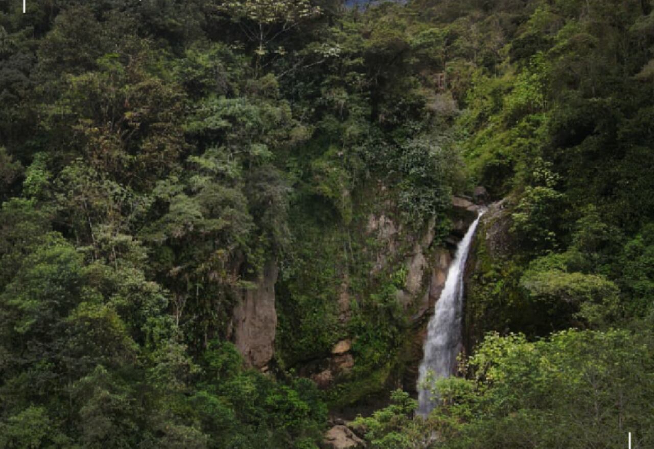 Salto Tequendamita, Rondón