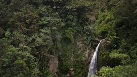 Salto Tequendamita, Rondón
