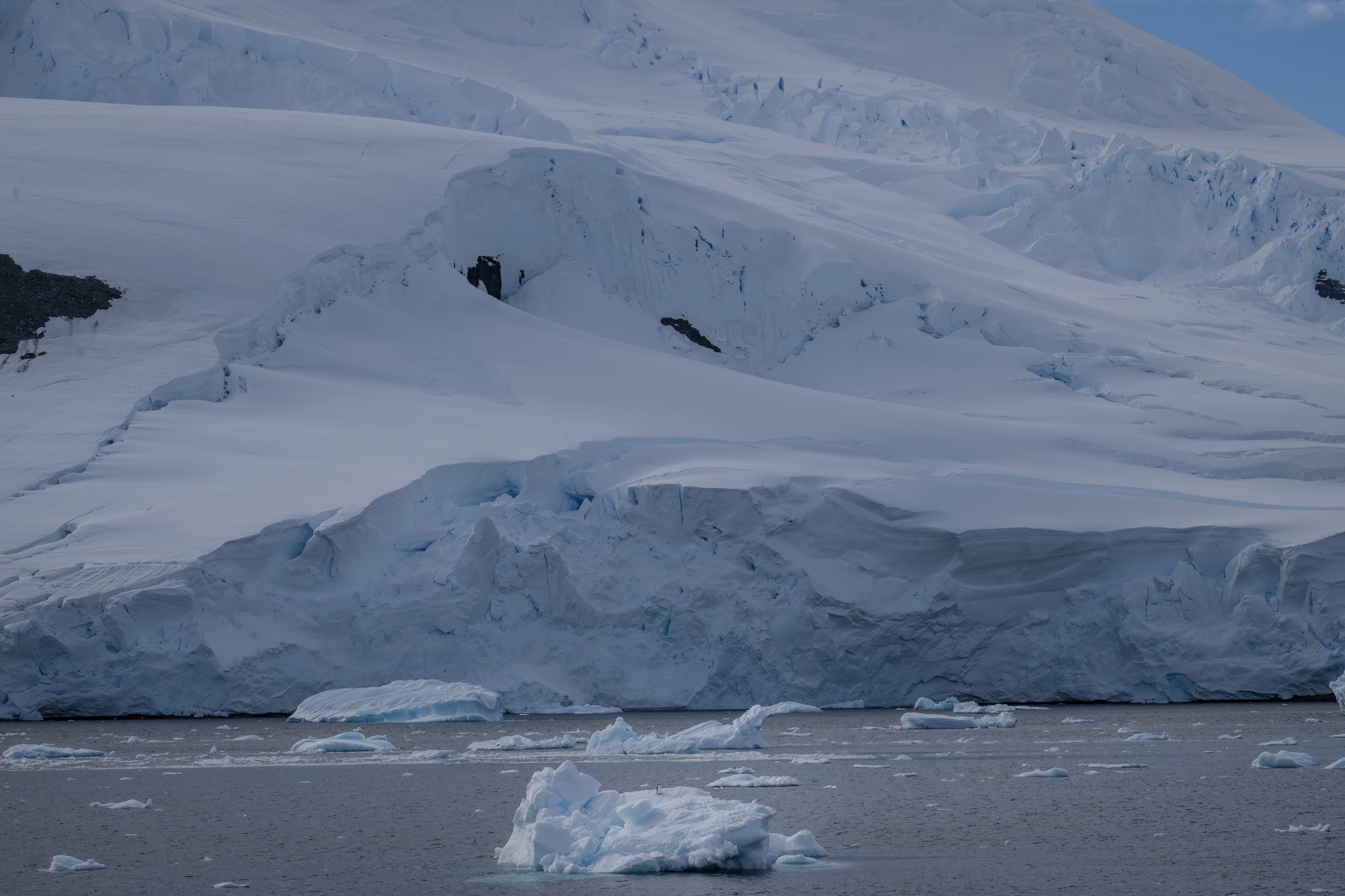 Las Cataratas de Sangre se encuentran en la Antártida.