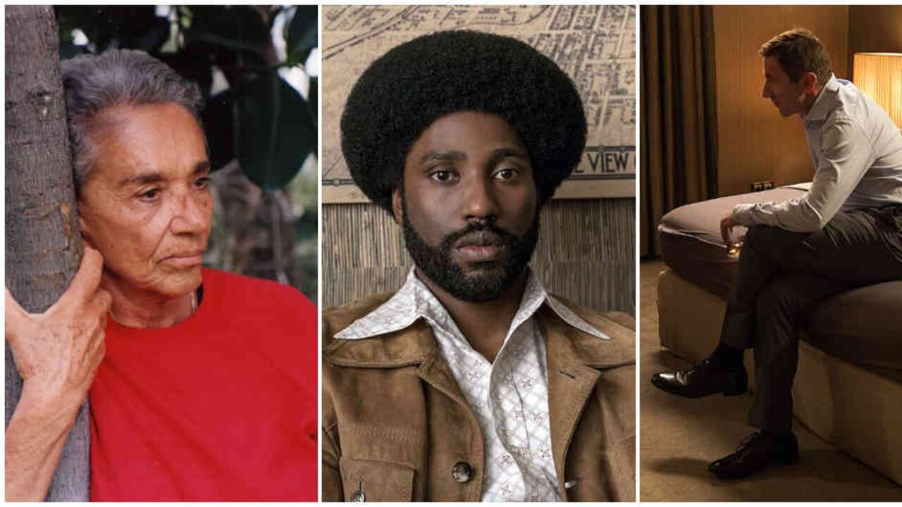 Chavela, Los infiltrados y El reino son tres de las películas recomendadas para esta edición