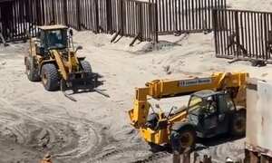 El animal había escapado por la frontera hacia Estados Unidos