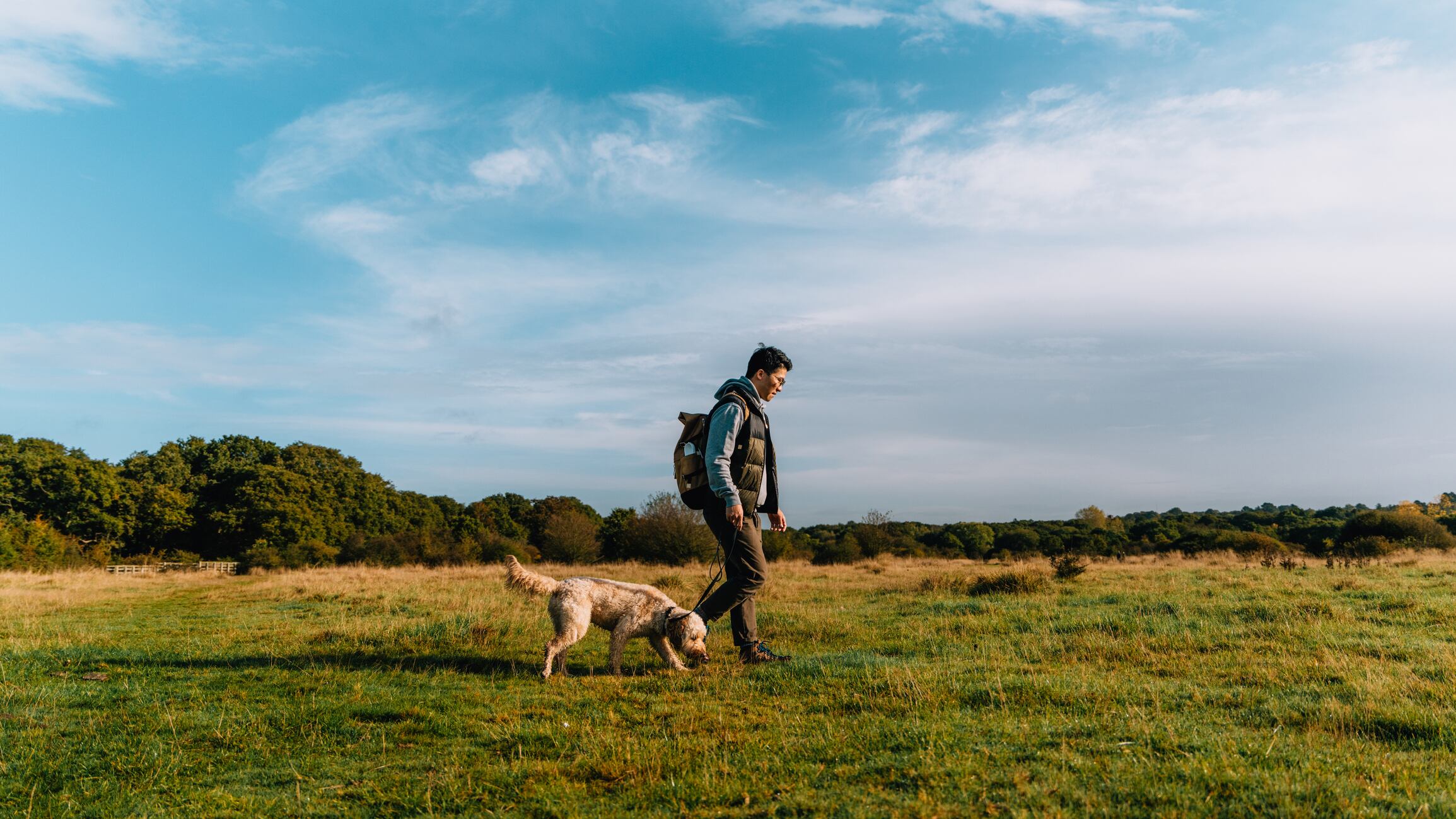 Young Asian man walking with his Goldendoodle dog in meadow against blue sky. Going on an adventure and exploring nature. Healthy and active lifestyle.