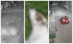 Dominique fue arrollado en el barrio Mandalay