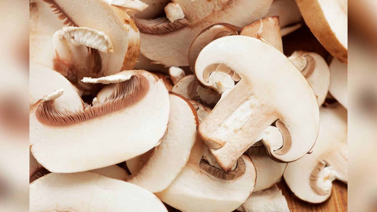 Los champiñones tienen una baja densidad energética y con esto ayudan a prevenir la obesidad. Foto: Getty images.