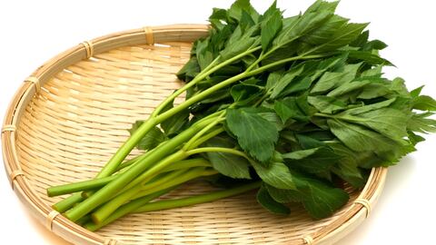 El compuesto de una planta japonesa que podría retrasar el envejecimiento.