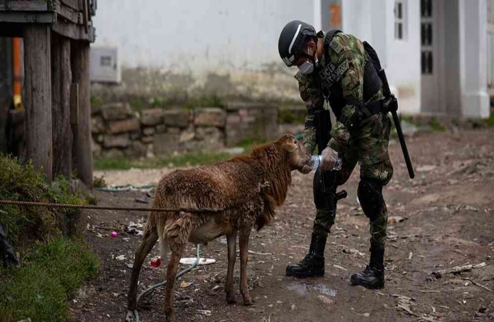 El no contar con ingresos económicos diarios ha dificultado la situación de miles de millones de familias no solo en Bogotá, también en el resto del país. Esteban Vega La-Rotta-SEMANA
