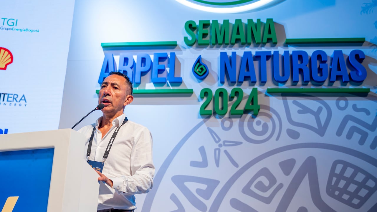 Ricardo Roa, presidente de Ecopetrol, en el Congreso de Naturgas 2024.