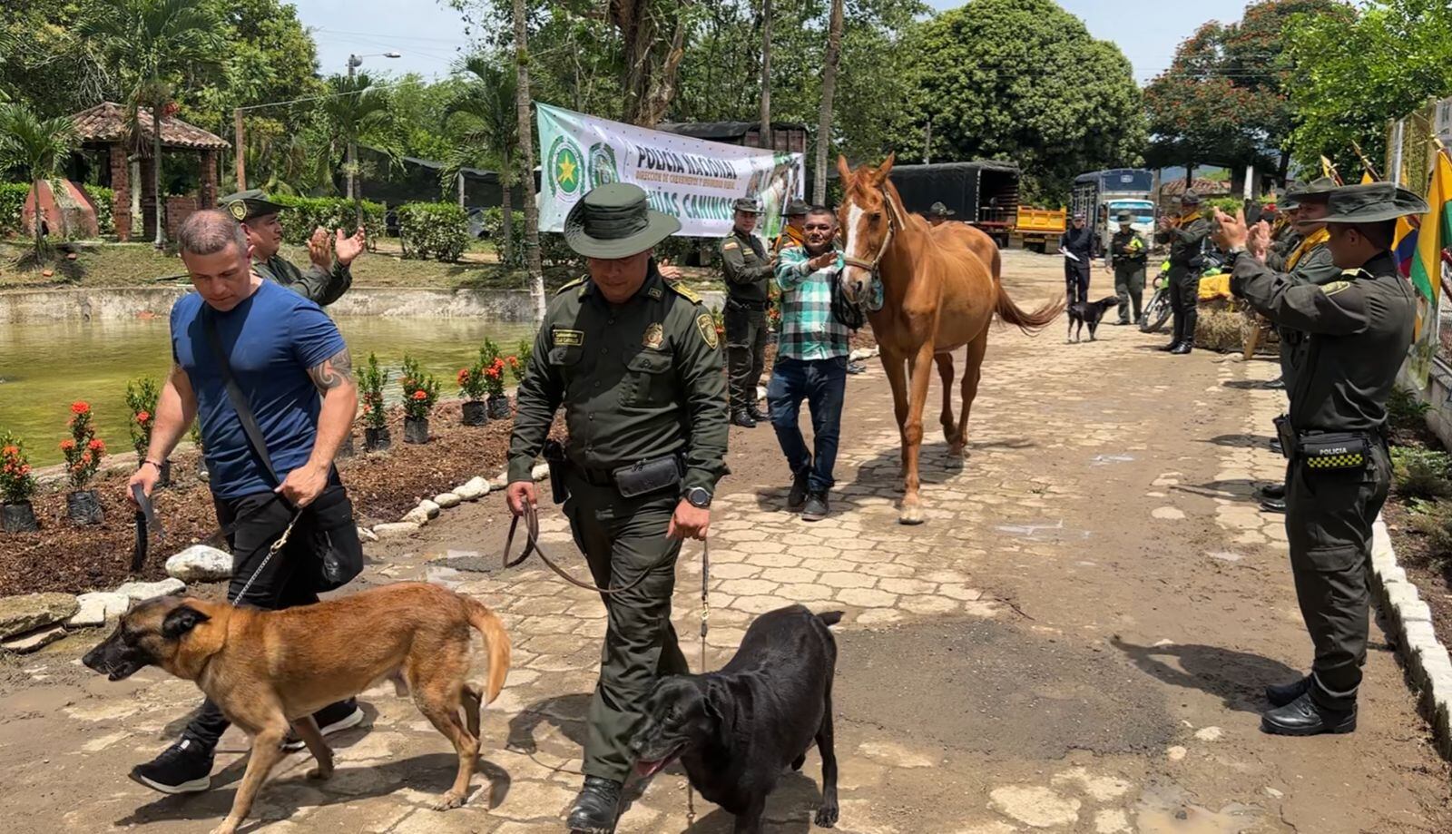 Dos caninos y un cabillo cumplieron con el tiempo de servicio en la Policía.