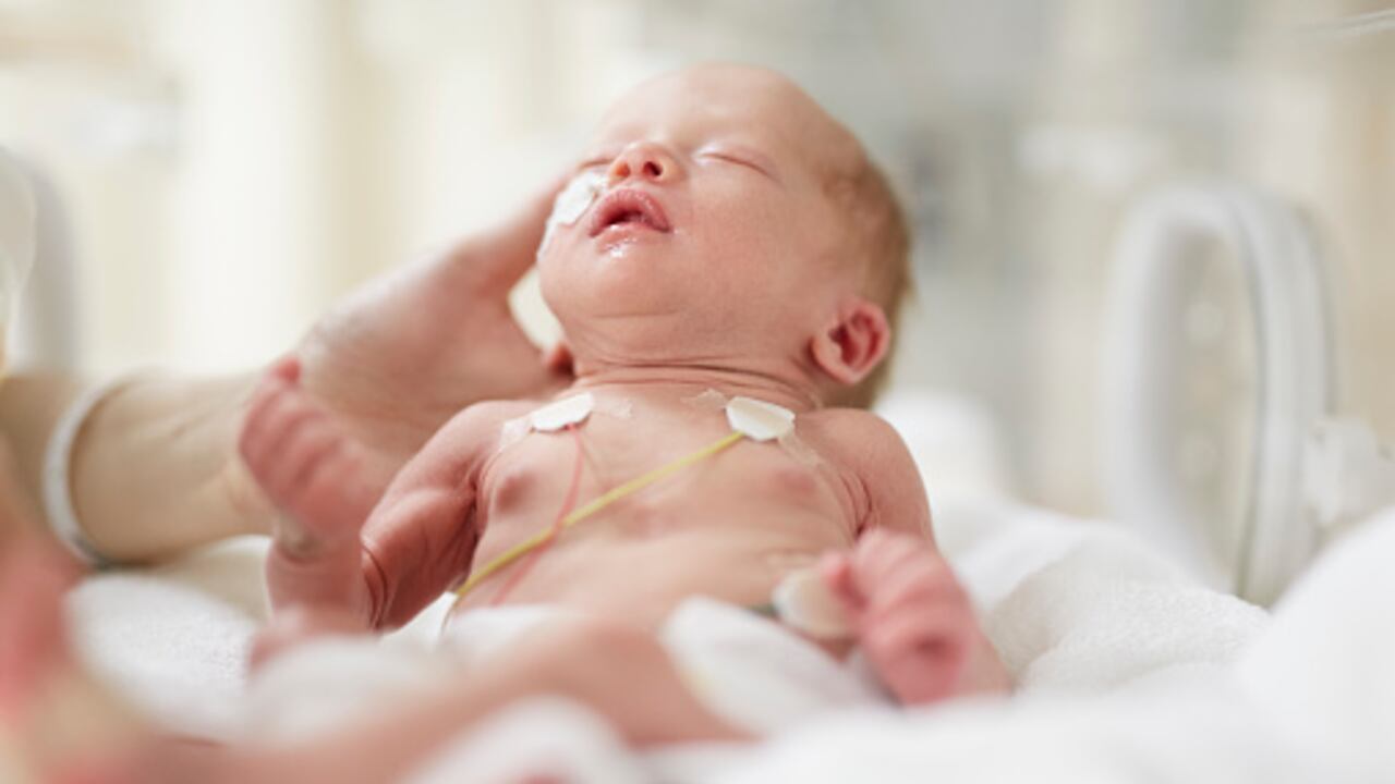 La fiebre puede ser el primer y único signo de una infección grave.