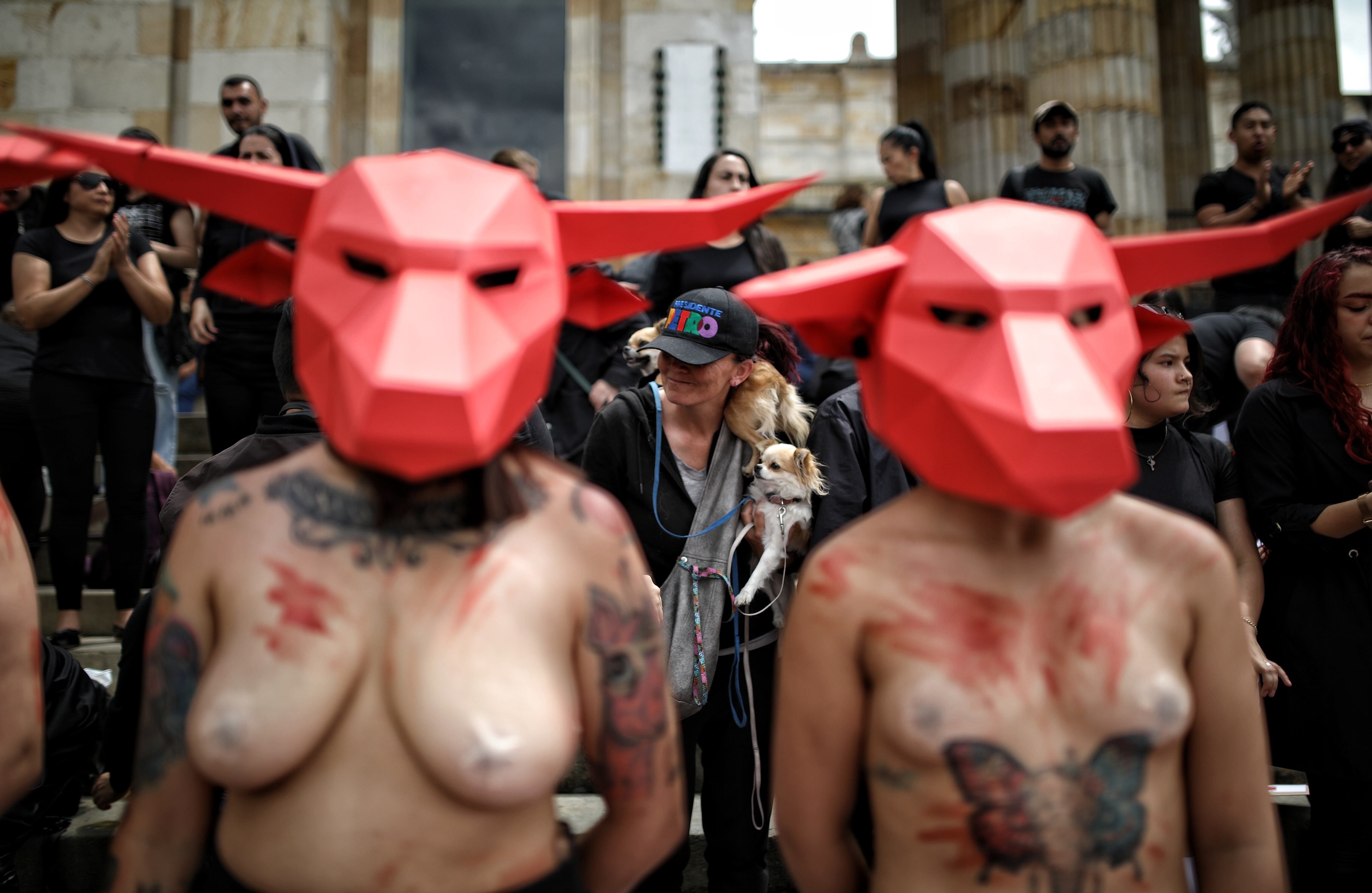 Protesta antitaurina en la plaza de Bolívar frente al Congreso de la República