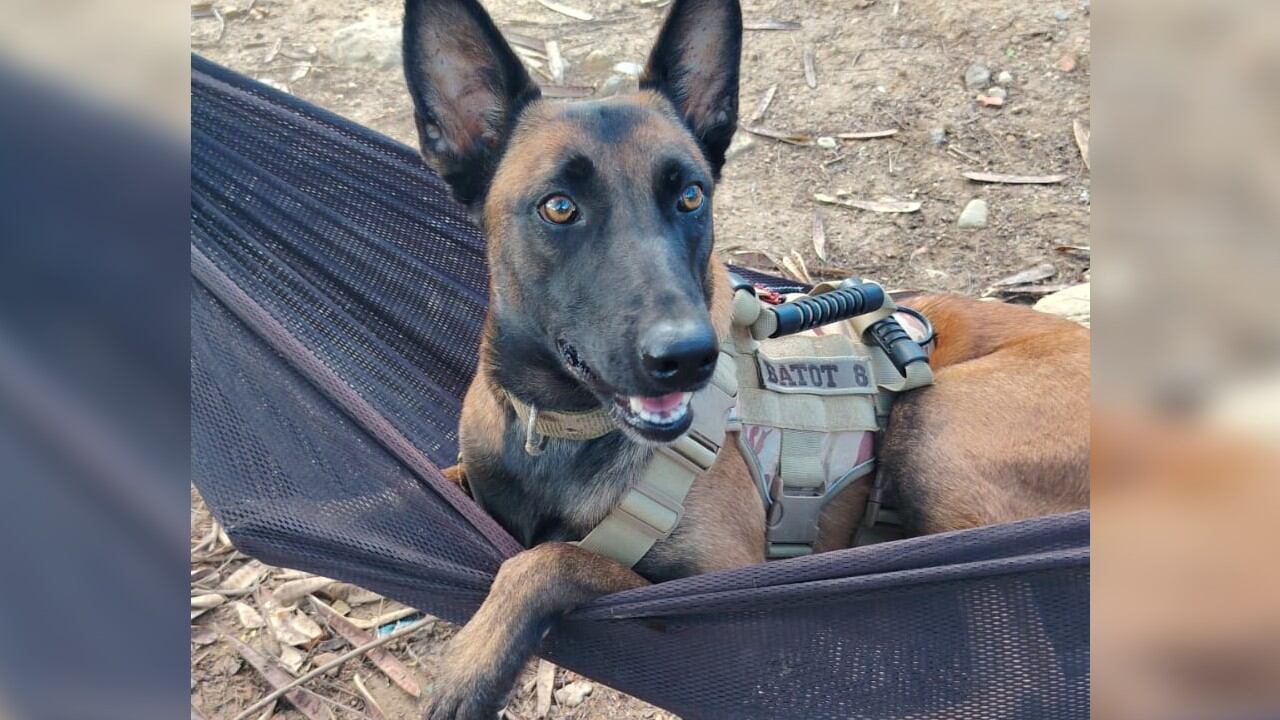 Hela 5 permaneció extraviada durante siete días.