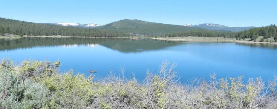 Las autoridades siguen investigando el caso de Rodni.