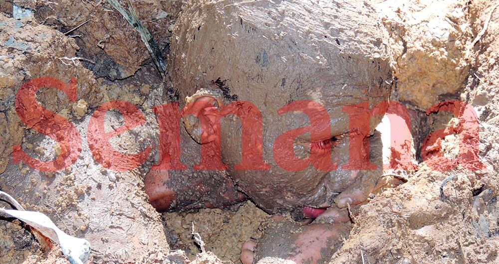  La guerrilla del ELN estaría instruyendo menores de edad para convertirlos en comandos suicidas, según informes de las agencias de seguridad del Estado.