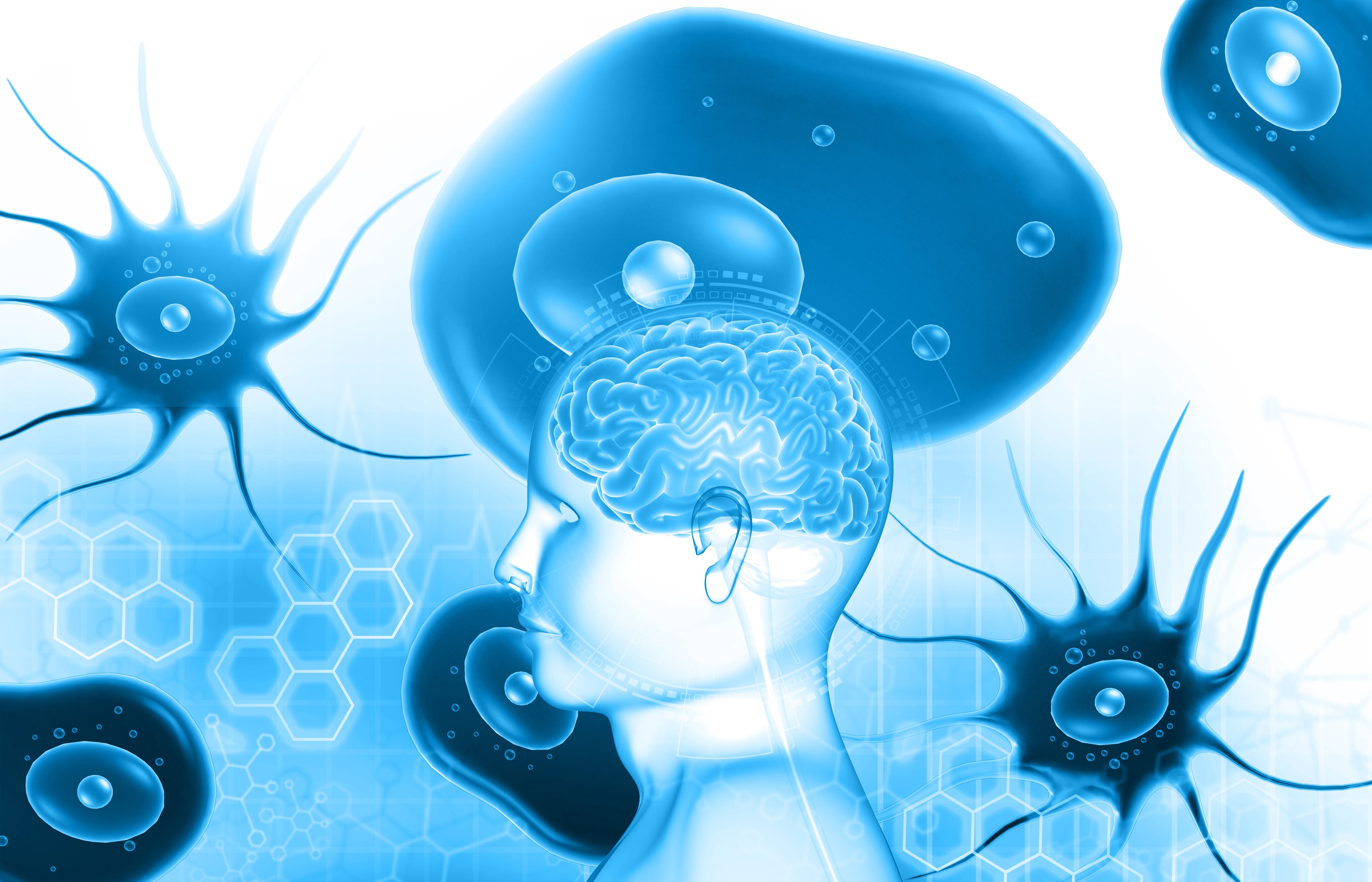 El Departamento de Servicios de Salud del Estado de Texas indicó que el sistema de agua del RV no había sido adecuadamente desinfectado, permitiendo que la ameba se desarrollara y llegara hasta las cavidades nasales de la mujer, desde donde accedió al cerebro.