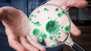 Demuestran la importancia de lavarse las manos.