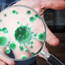 Demuestran la importancia de lavarse las manos.