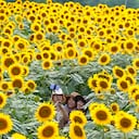 Los visitantes posan para una selfie en un campo de girasoles en la ciudad de Hokuto, prefectura de Yamanashi. La ciudad, conocida por sus horas de sol más largas al año en Japón, atrae a muchos turistas durante su festival de verano de girasoles. Martes 9 de agosto de 2022 Foto AP/Shuji Kajiyama