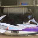 La perra que resultó herida se llama 'Morocha' y tiene tres años de edad.