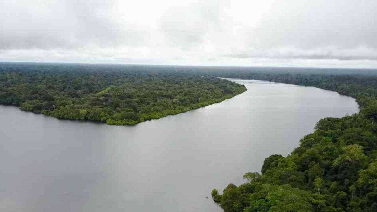 En el encuentro se destacó la importancia de una política especifica de vigilancia y control en la ejecución de los recursos destinados al sector ambiental.