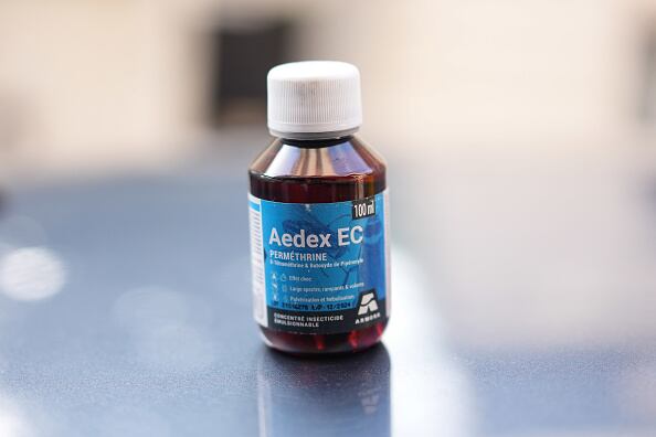 “Todos los desplazamientos de la población humana son positivos para las chinches, porque pueden ir con nosotros a los hoteles o en los transportes”, indicó Berenger.