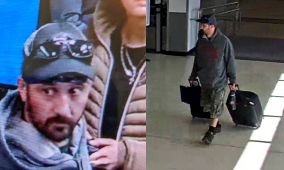 Pese a la alerta el dispositivo contenía componentes explosivos inflamables, pero no estaba operativo y no estaba construido para explotar en vuelo.