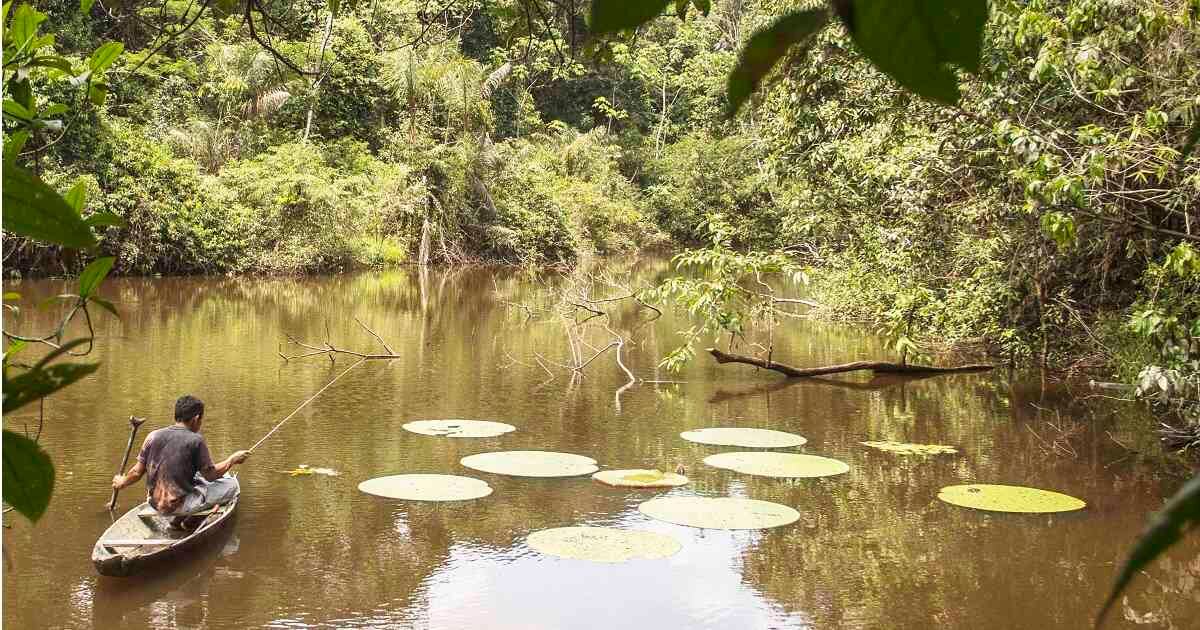 La vigilancia y protección de la las áreas protegidas se ha dificultado durante la época de pandemia. Este es el Parque Natural Amacayacu en la Amazonia colombiana. Foto: Parques Nacionales Naturales.