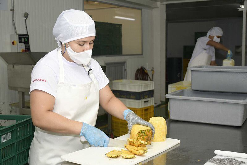 Las empresas que adoptan estándares de calidad pueden a aumentar el nivel de control de sus procesos de producción y reducir los productos con defectos, lo que las hace más eficientes y rentables.