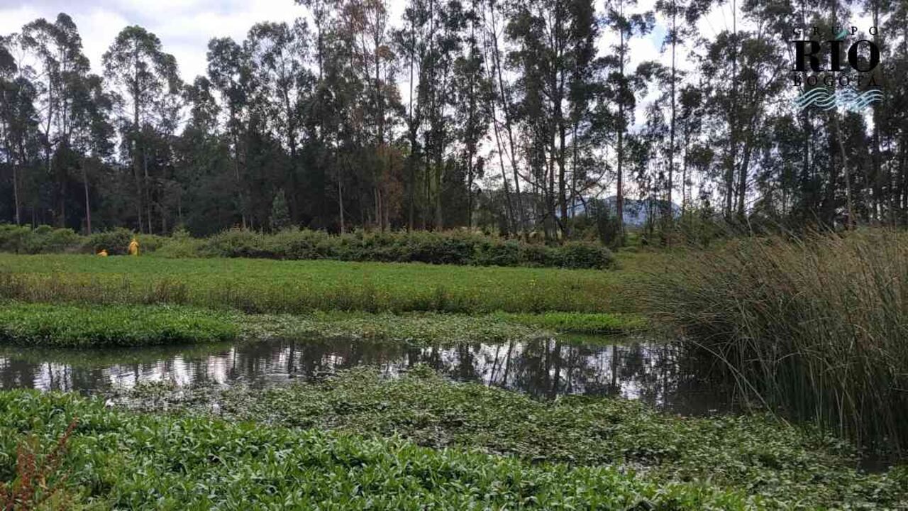 Las conflagraciones en ecosistemas de la ciudad como los humedales, pueden tener graves consecuencias para la fauna y flora que allí habita. Foto: Nicolás Acevedo Ortiz