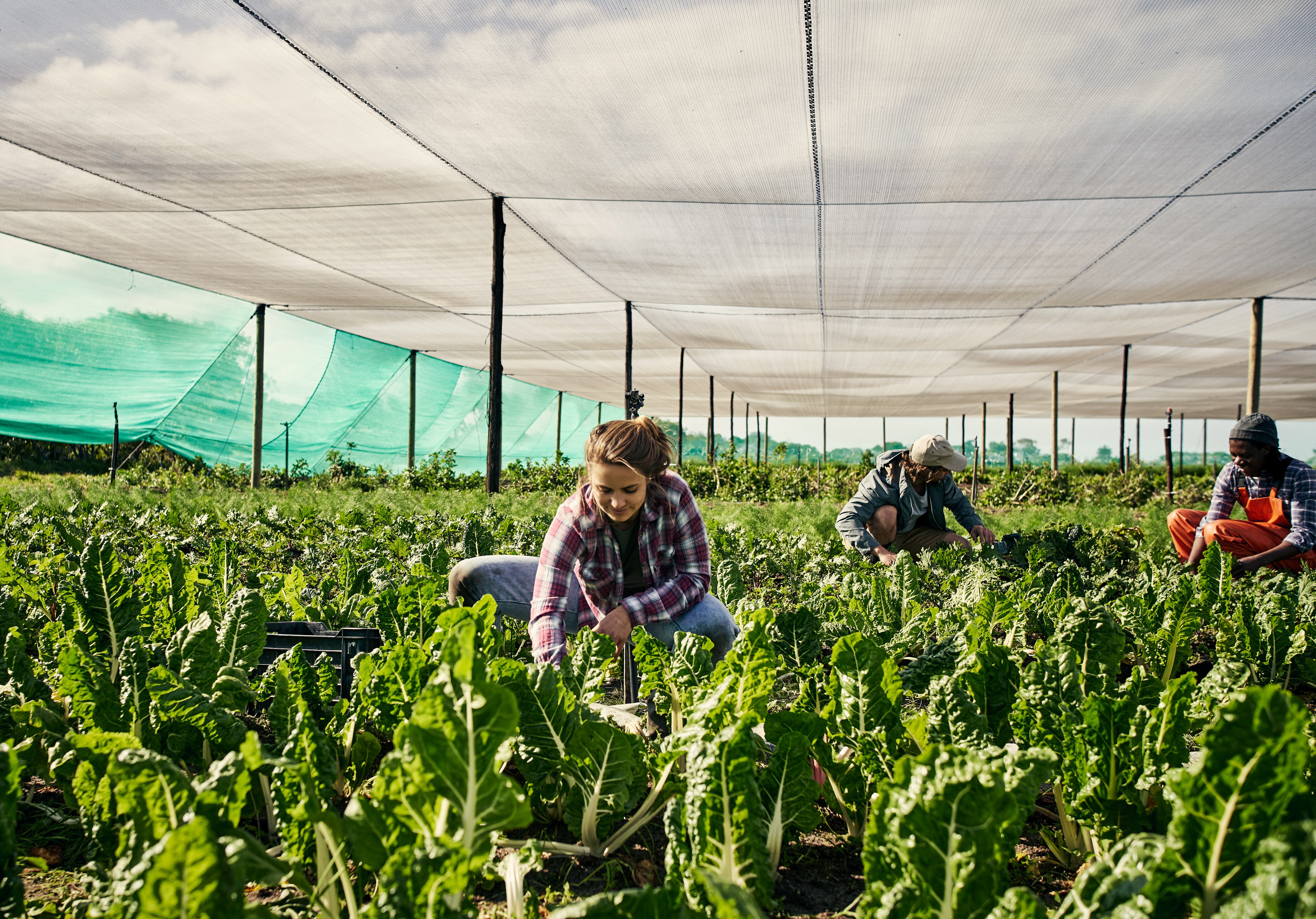 Los retos para la industria de alimentos.
