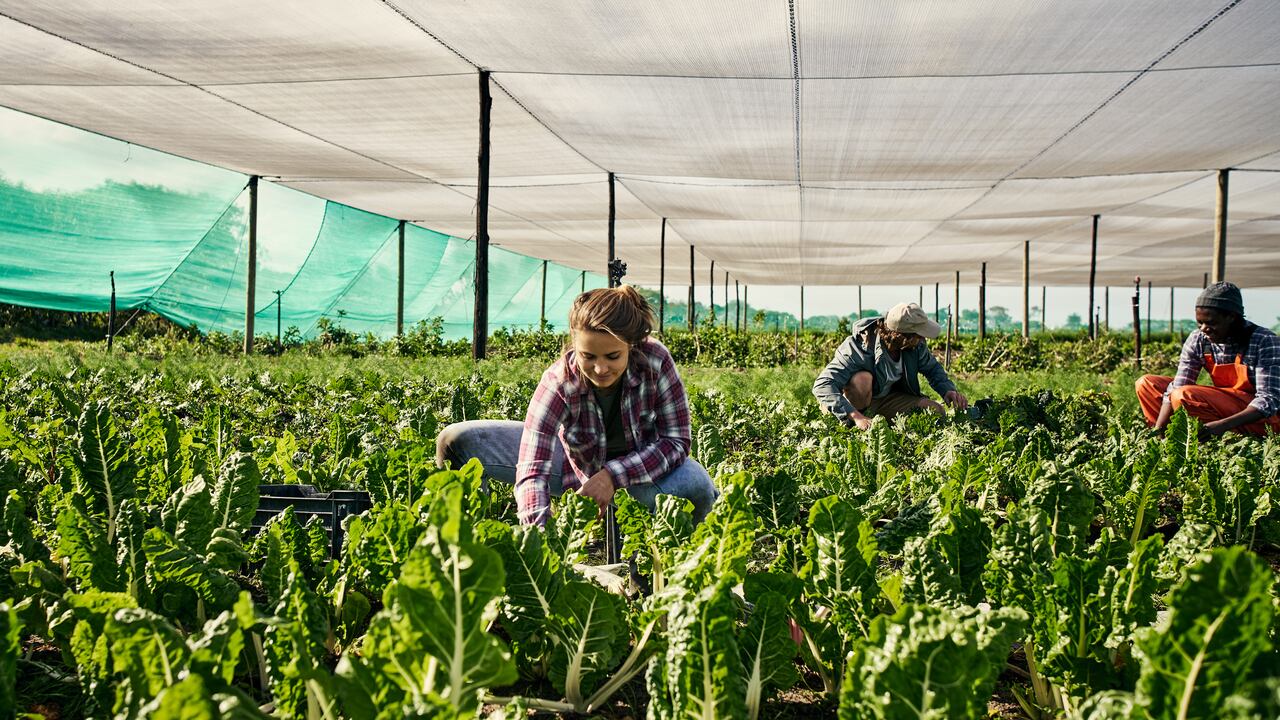 Los retos para la industria de alimentos.