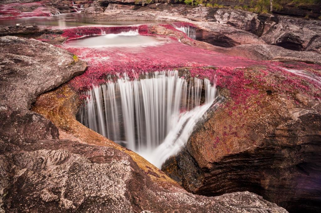 Caño cristales.