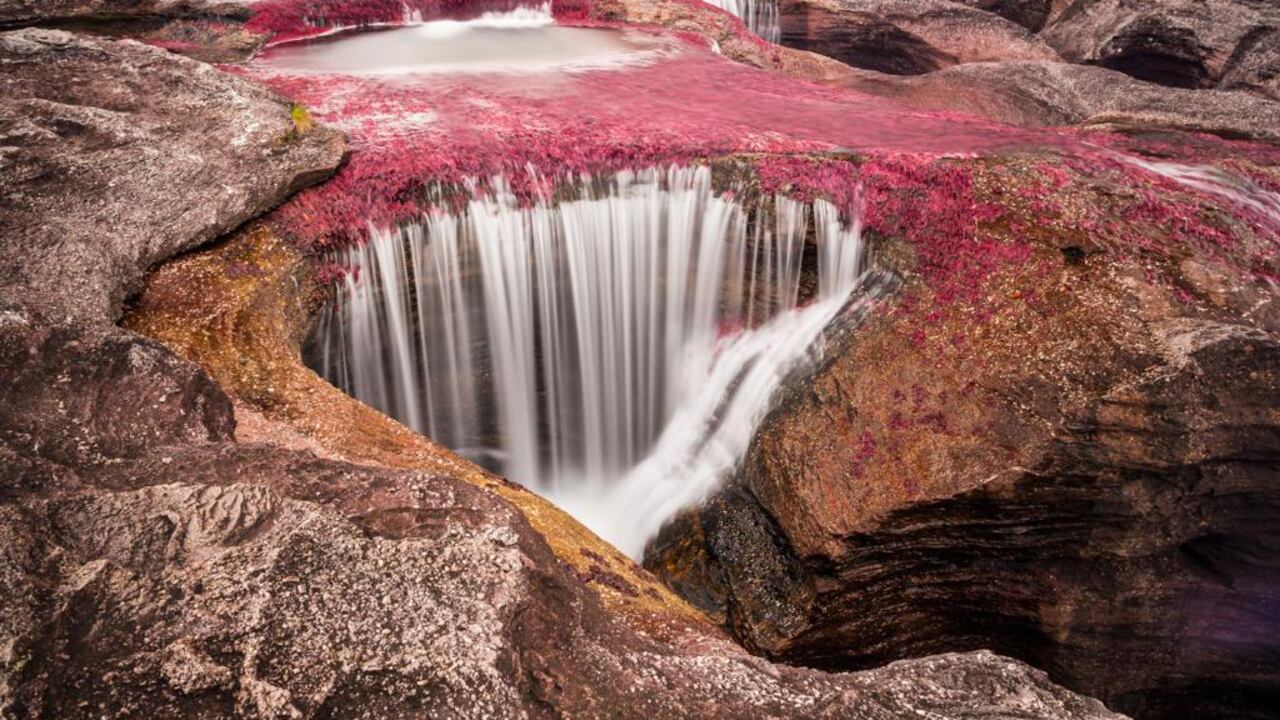 Caño Cristales.