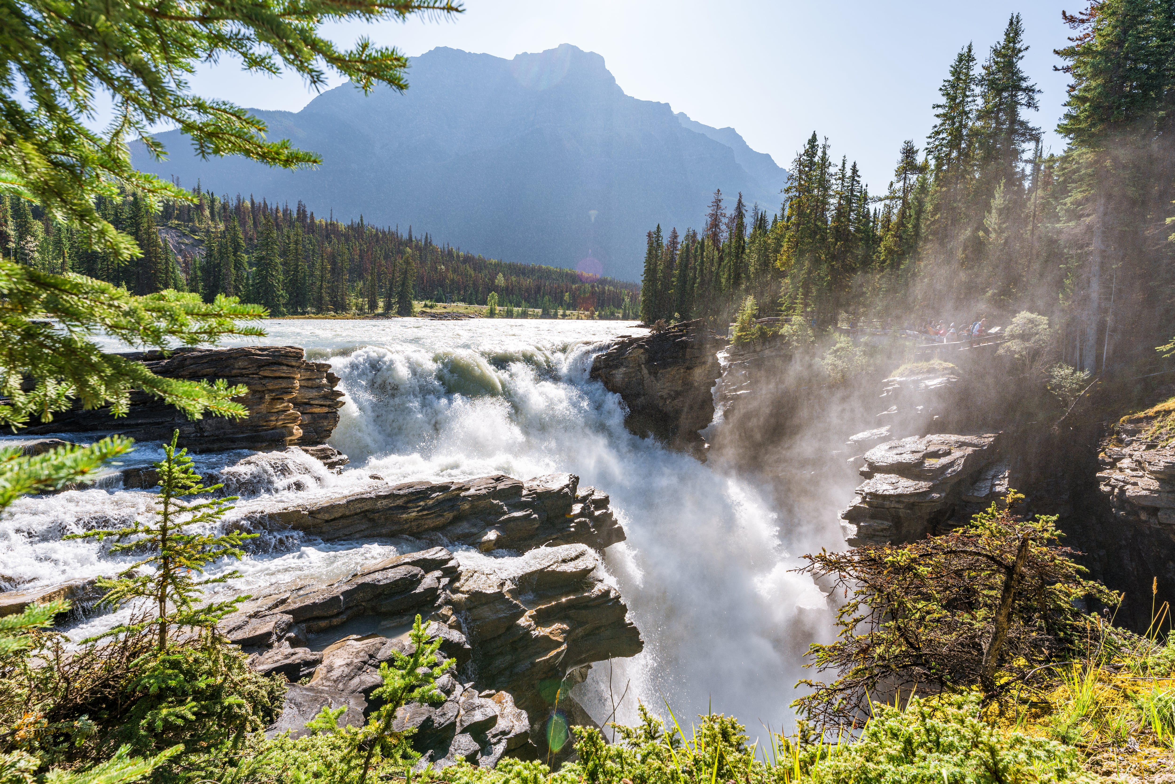 Plan imperdible en Canadá: visita el cañón mágico rodeado de impresionantes cascadas congeladas