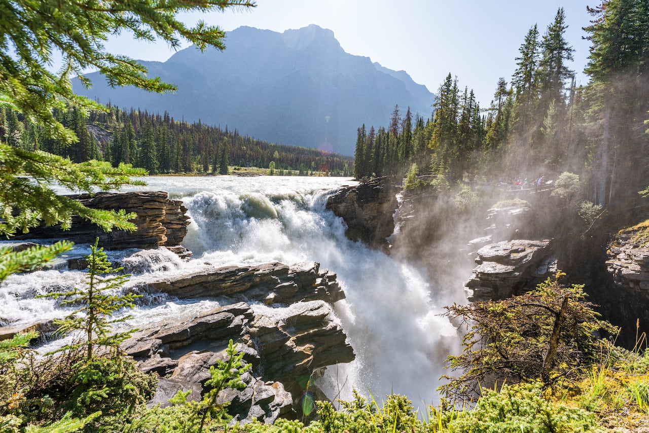 Plan imperdible en Canadá: visita el cañón mágico rodeado de impresionantes cascadas congeladas