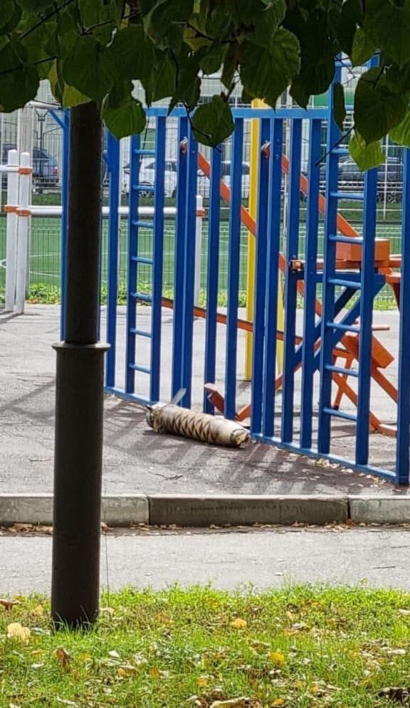 Fragmentos de un misil ucraniano impactan en un edificio residencial en Rusia