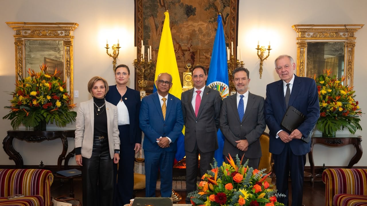 El Gobierno nacional se reunió con el secretario de la OEA