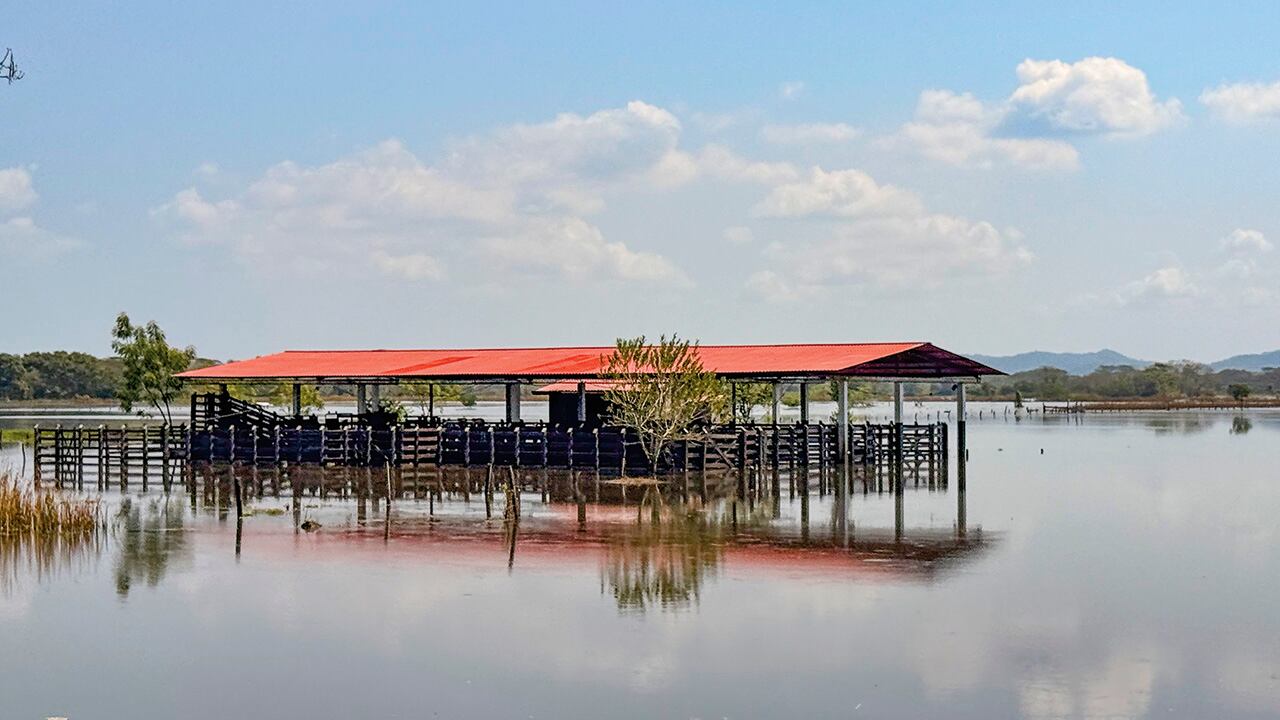El impacto también golpea con fuerza al sector productivo. 