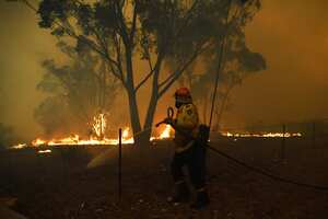 Incendios forestales causan graves daños en la vegetación y la fauna de Australia.