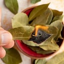 Quemar las hojas de laurel es beneficioso para el hogar pues discipa la negatividad para atraer la abundancia.