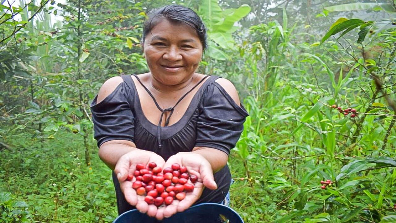 Anuncian $1.500 millones para proyectos de investigación sobre mujer rural