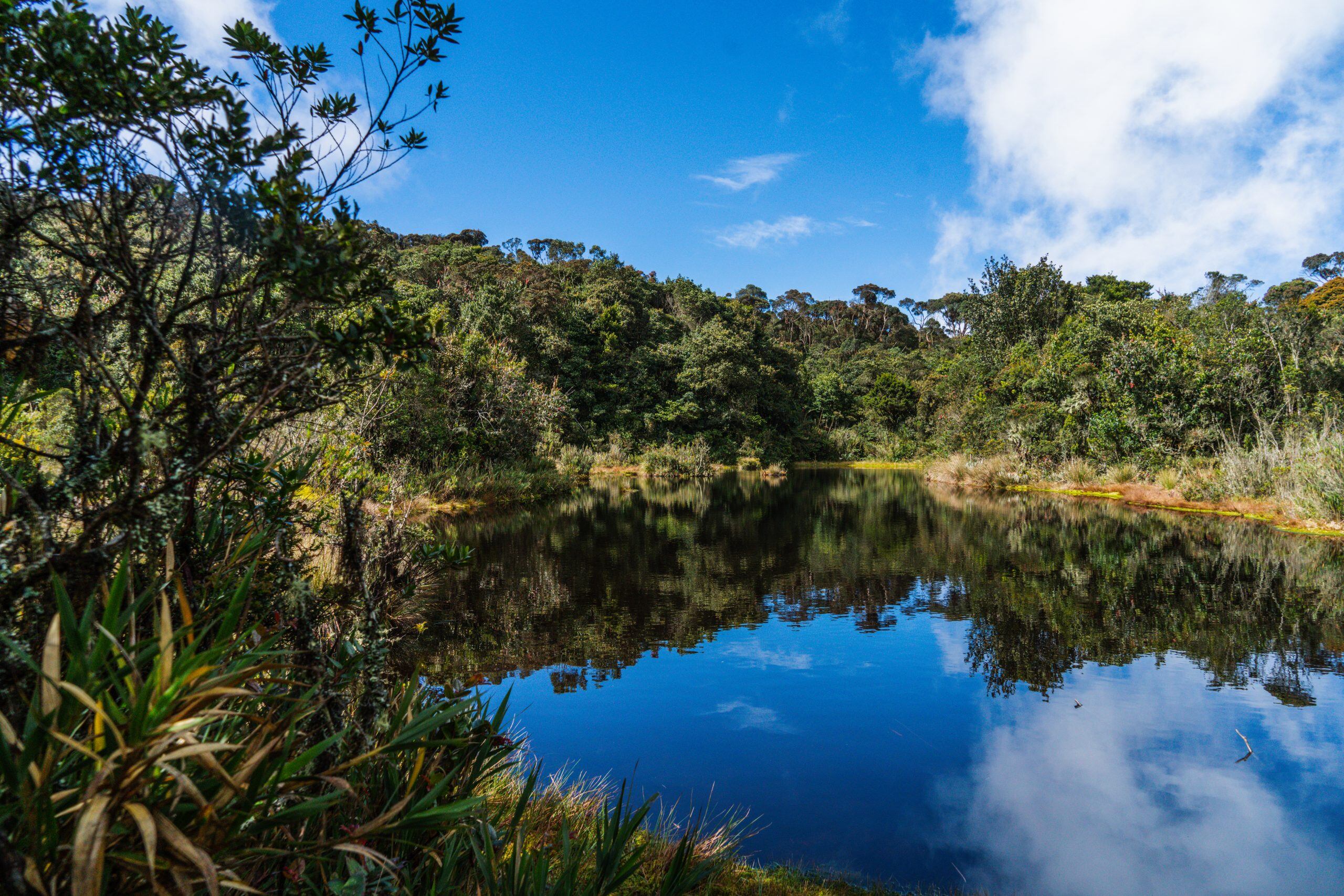 San José de la Montaña