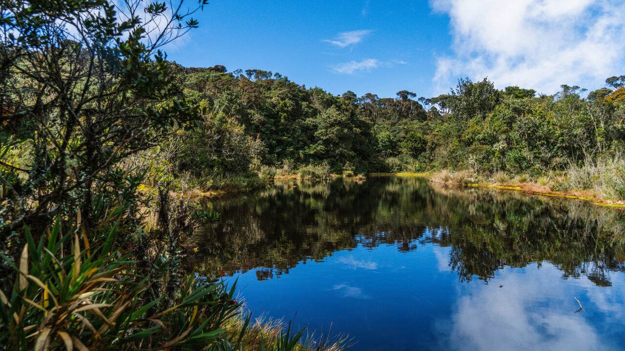 La oferta natural es uno de los principales atractivos de San José de la Montaña, en Antioquia.