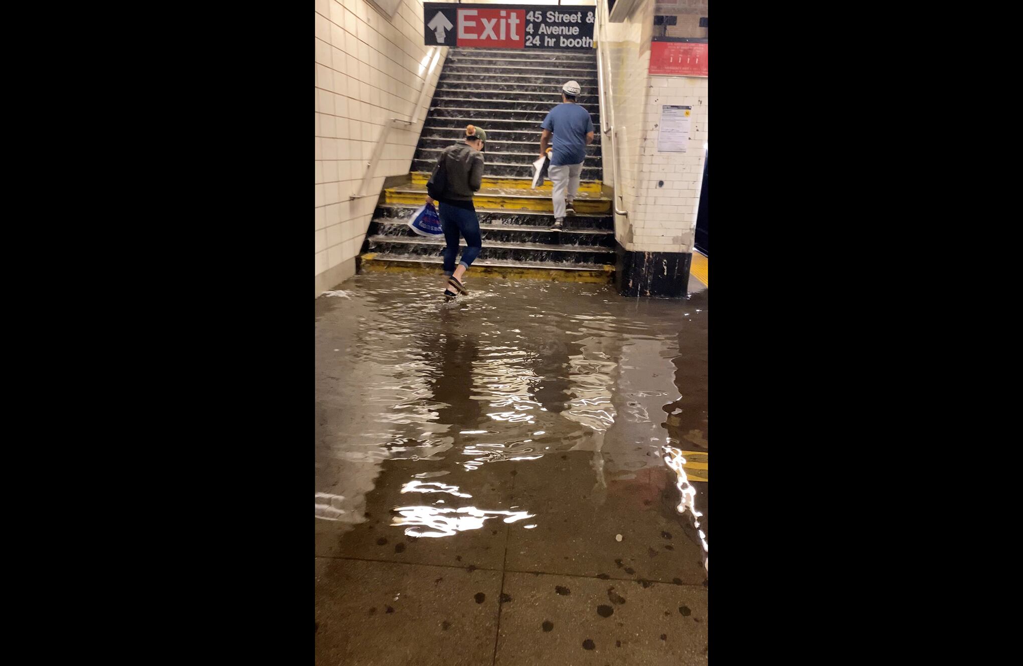 Restos de IDA fotografiado en Nueva York