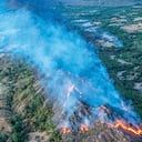Un sobrevuelo de la FAC permitió conocer la magnitud real de los terrenos consumidos. Son cerca de 50.000 hectáreas.