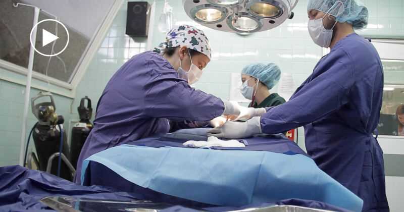 Clínica Veterinaria de la Salle