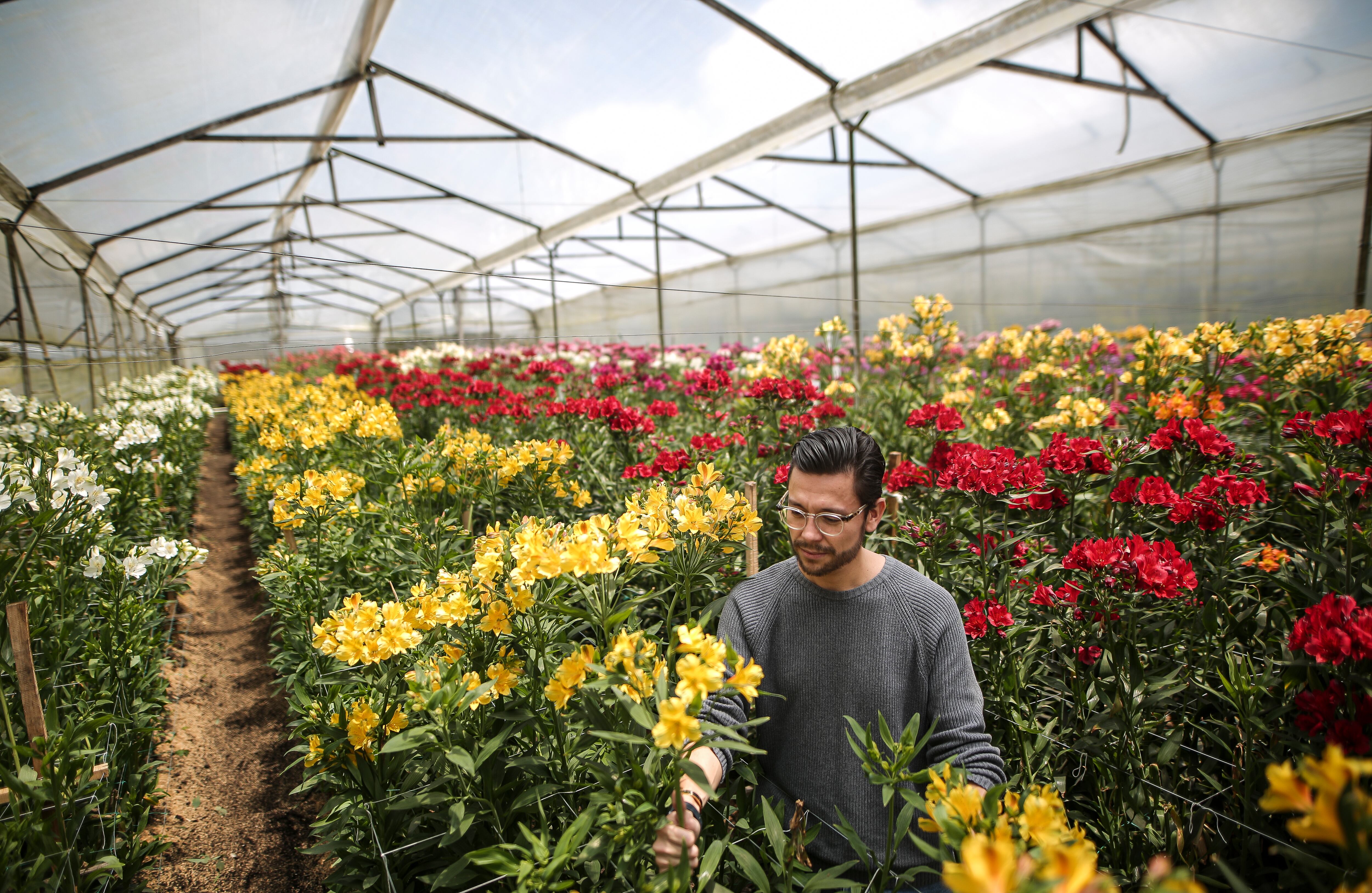 Flores, el regalo tradicional en el día de la madre