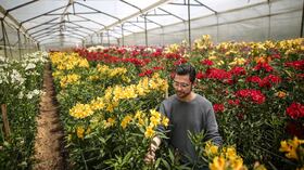 Flores, el regalo tradicional en el día de la madre