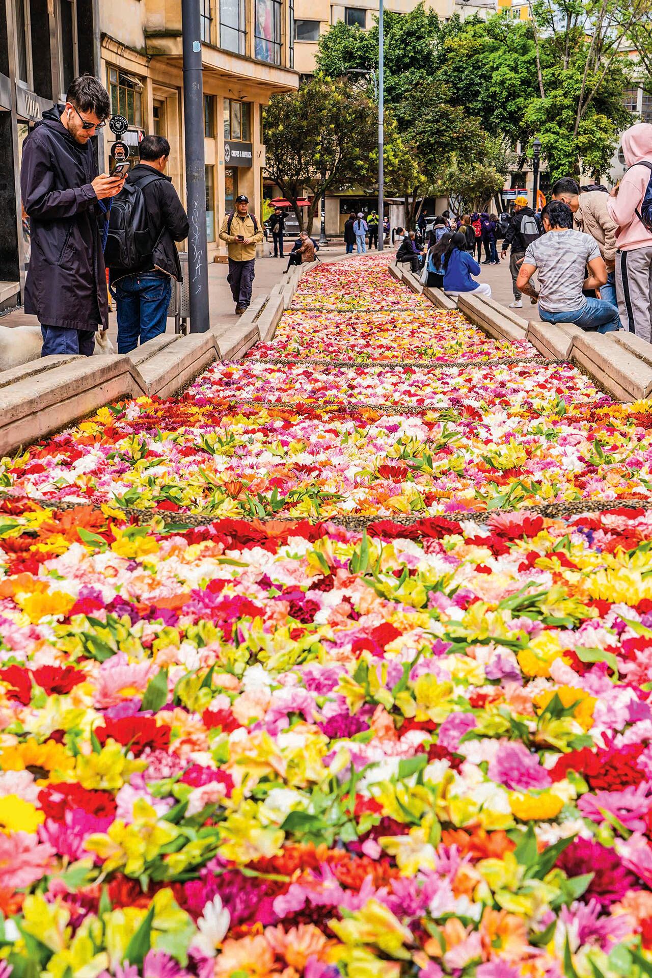 Se vio un río de gente curiosa, en grupos, en parejas, en soledad. Para esta masa de mil rostros y múltiples edades no hubo ni buena ni mala manera de asumir esta Bienal. Aun así, primó una: la del respeto por los otros.