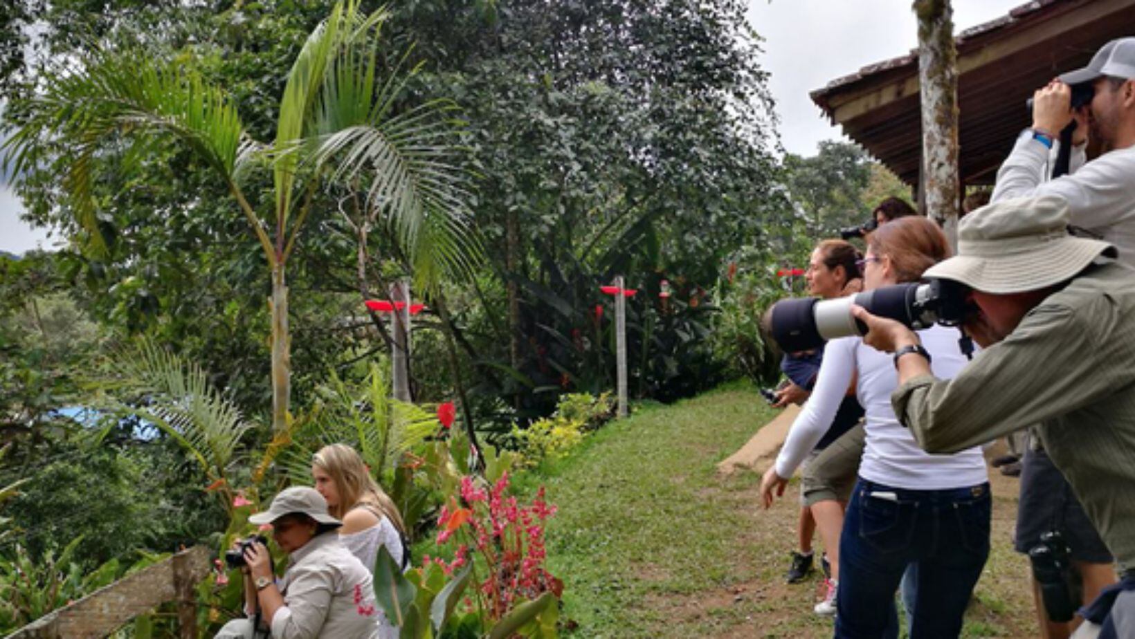 Cali Verde: rutas y destinos para conectar con la biodiversidad de la sucursal del cielo