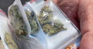 ¿Por qué 'llovió' cannabis en Tel Aviv, Israel?